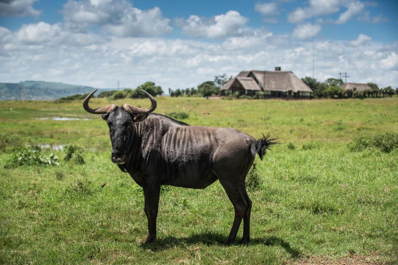 Tala Collection Game Reserve Silverton Exterior photo