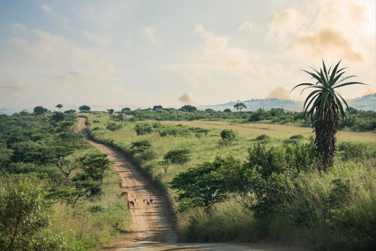 Tala Collection Game Reserve Silverton Exterior photo