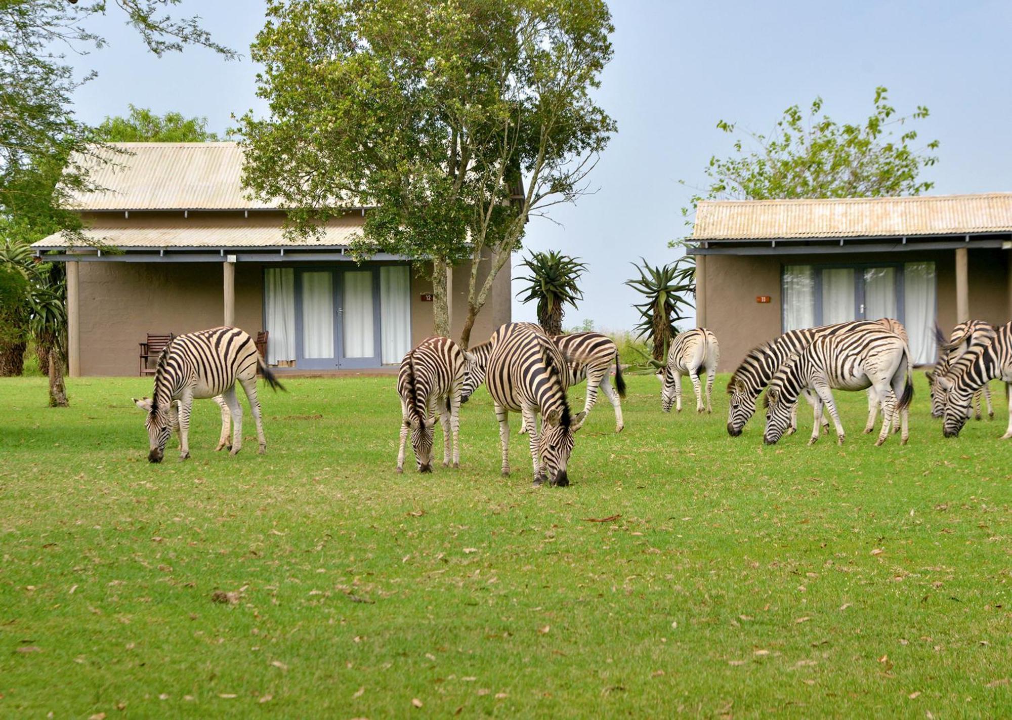 Tala Collection Game Reserve Silverton Exterior photo
